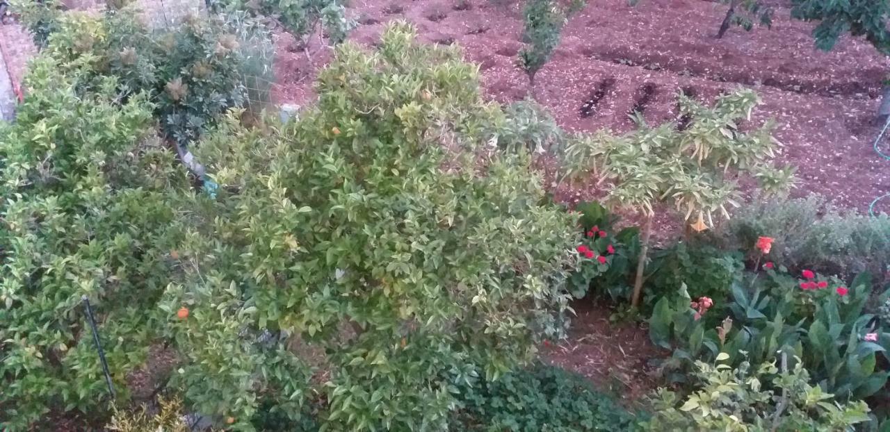 Appartamento Toulatos Pantelis Pouláta Esterno foto